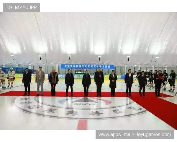 冰球青训营设立技能晋级体系激励小球员成长